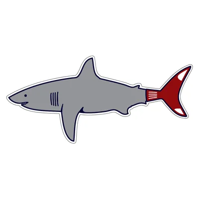 Boston Shark Fan Sticker