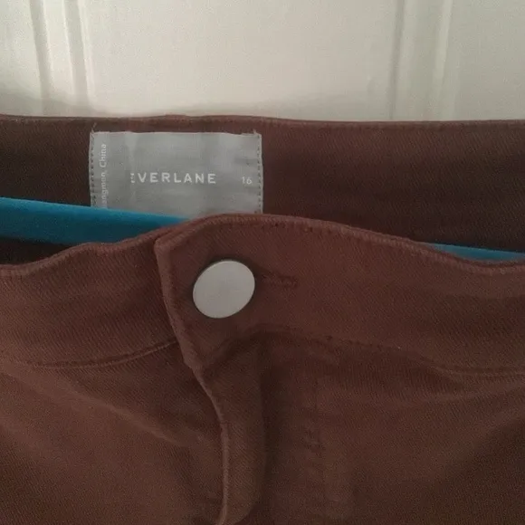 NWOT Everlane Utility Barrel Pant in Rosewood Size 16