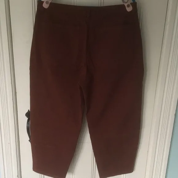 NWOT Everlane Utility Barrel Pant in Rosewood Size 16