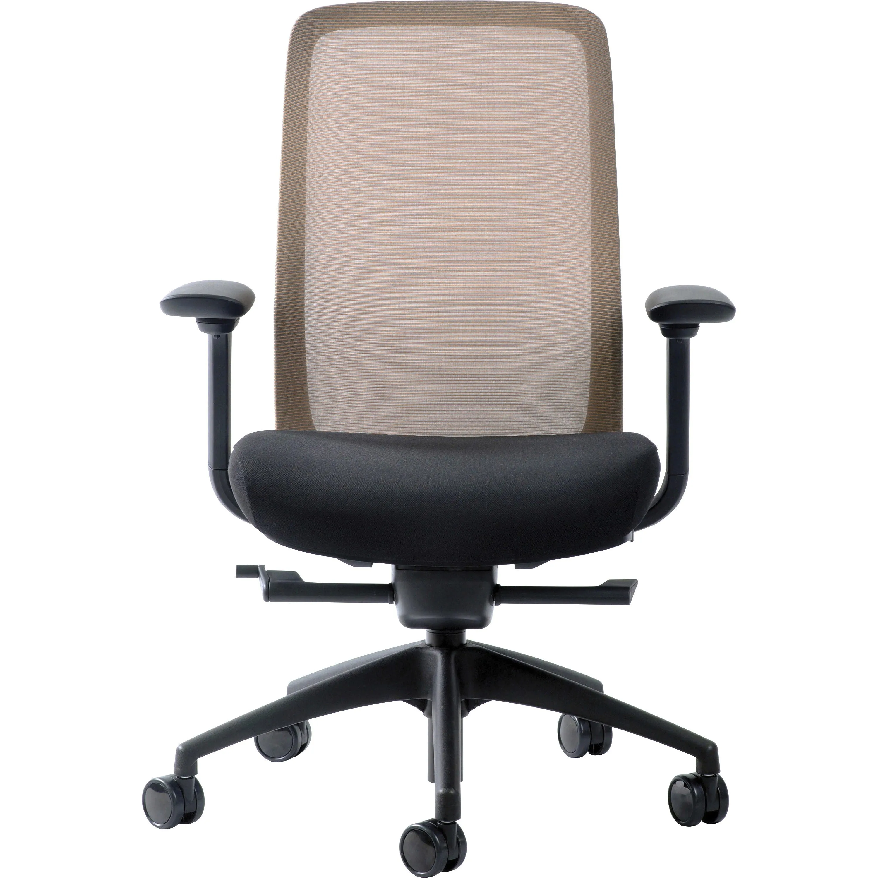 Raynor Vera Mesh Back Executive Chair
