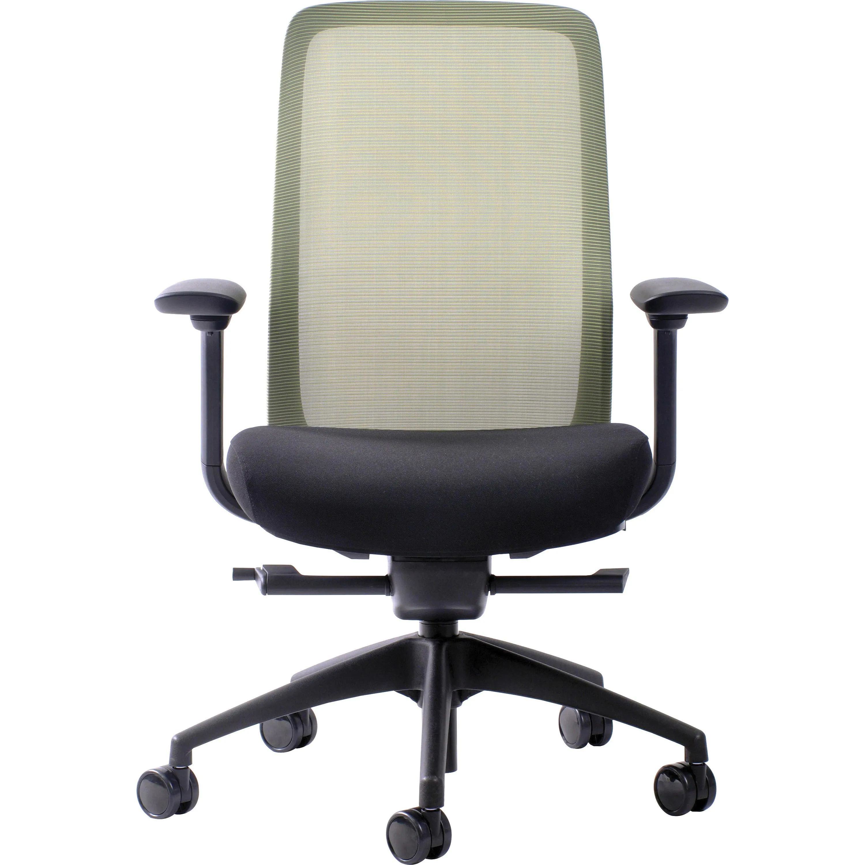 Raynor Vera Mesh Back Executive Chair