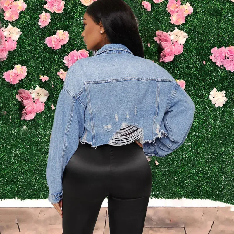 Swagger Cropped Distressed Denim Jacket