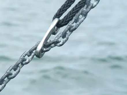 Wichard Chain Grip